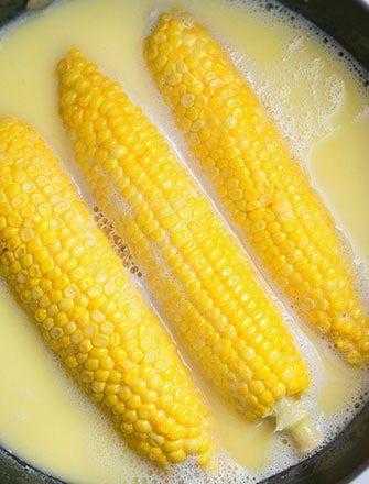 Corn on the cob