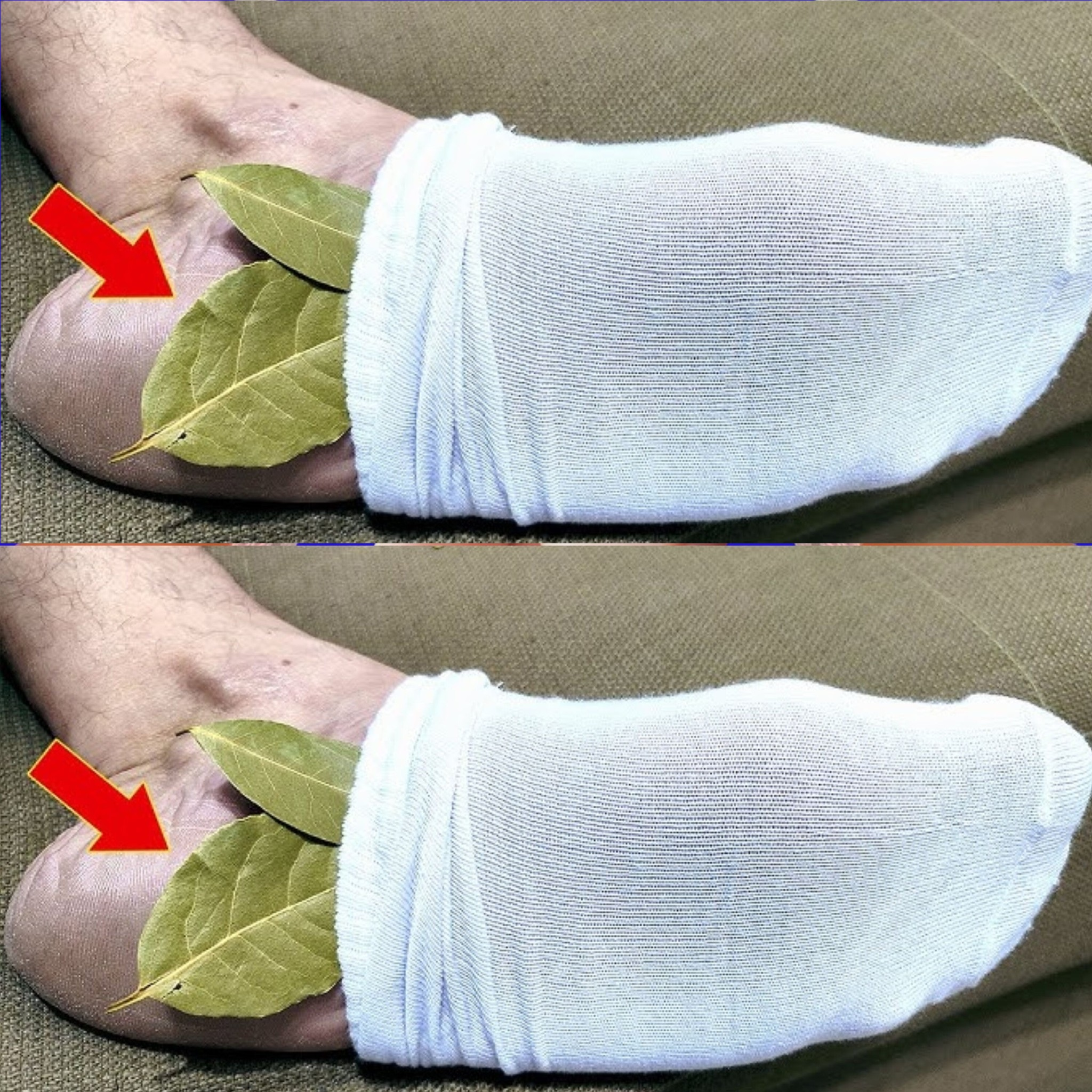 Put 1 bay leaf in your socks – this is what happens at night