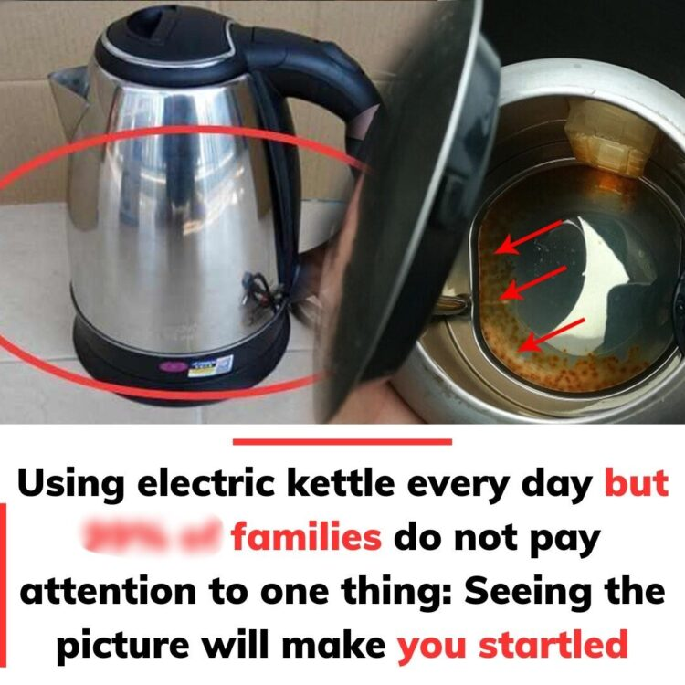 Using electric kettle every day but many families do not pay attention to one thing: Seeing the picture will make you startled