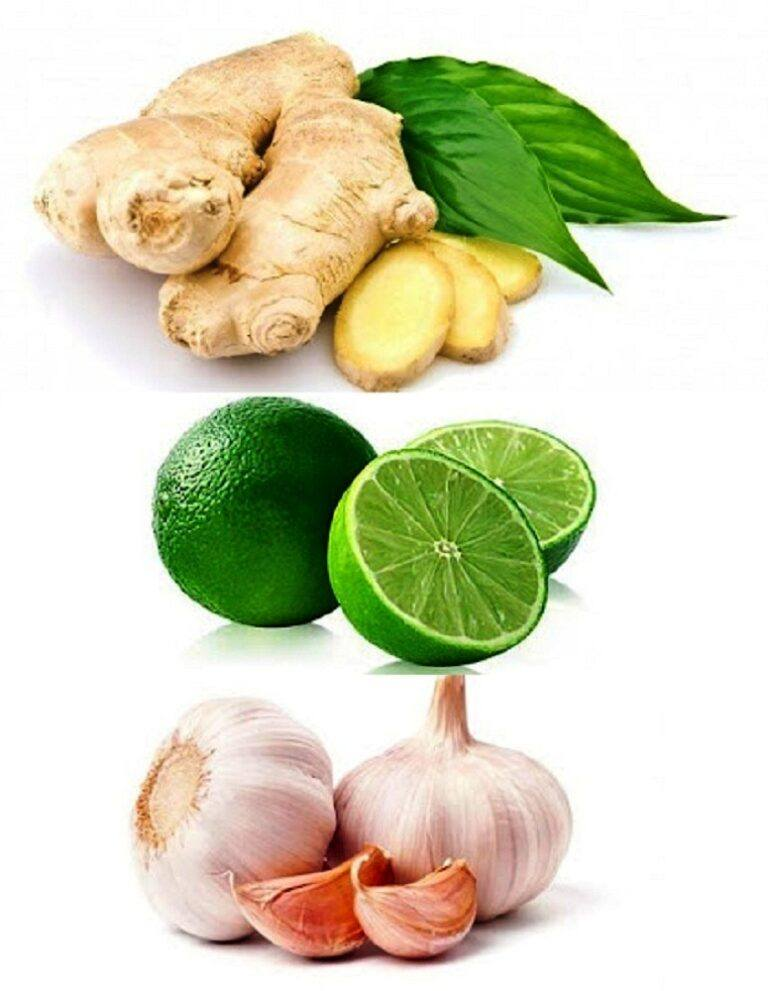 Use Lemon, Ginger, and Garlic to Treat Clogged Arteries, Cholesterol, Infections, and Colds