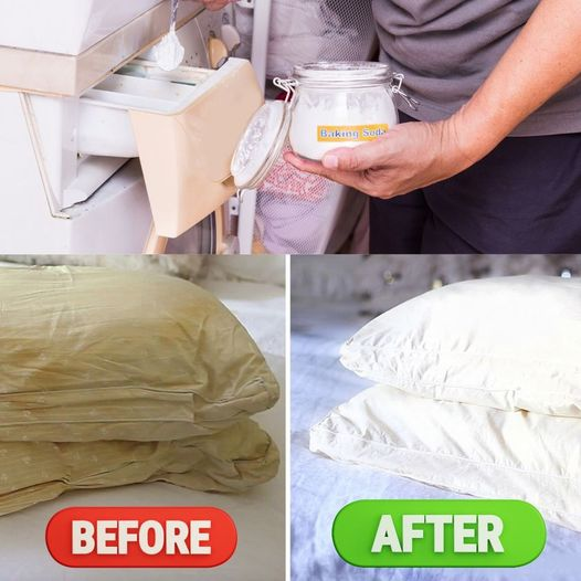 Here’s how to clean dirty bed pillows to leave them white and smelling sweet