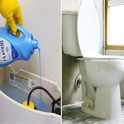 Your toilet will give off a pleasant scent: simply add this ingredient to the toilet bowl.