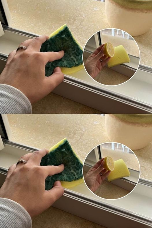 With the sponge technology, you no longer see dirt between the cracks in the lights