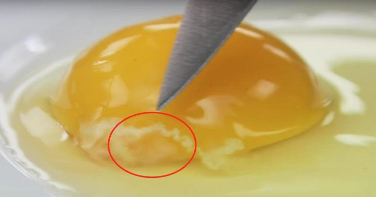 Here’s what it means when eggs have a white spot