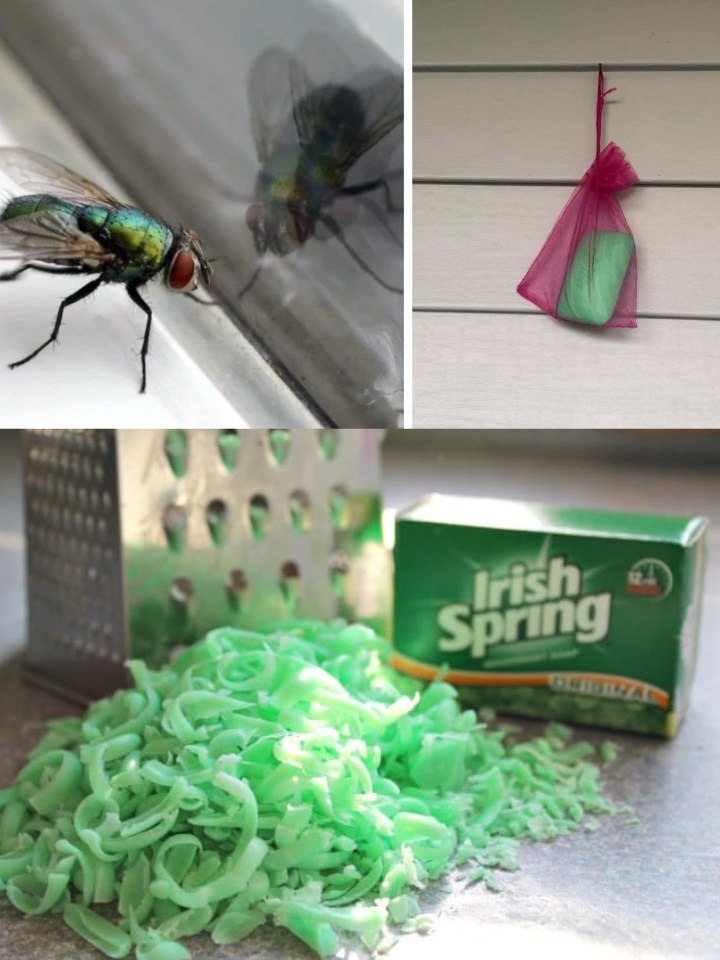 How To Keep Flies Away From Your Outdoor Spaces This Summer