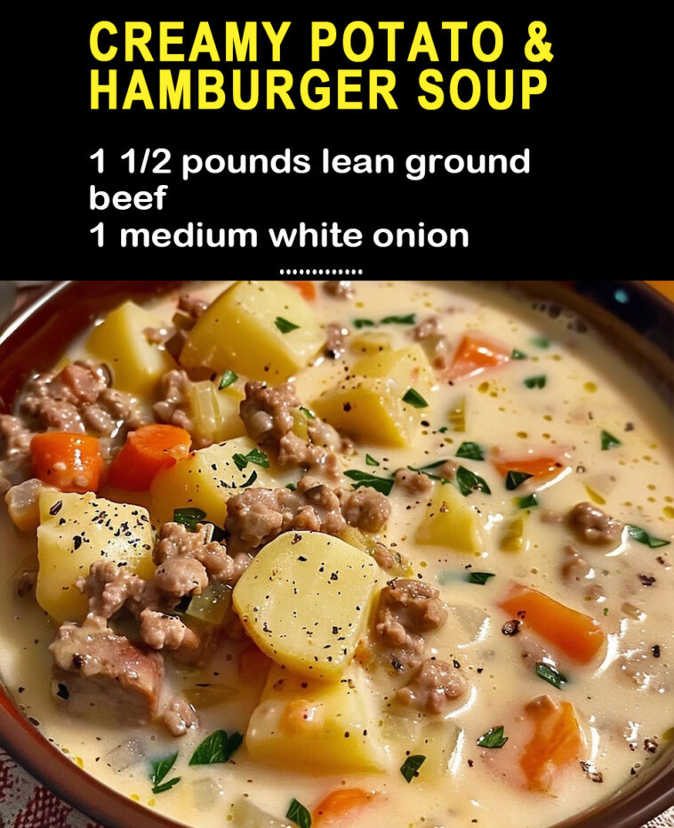 Creamy Potato & Hamburger Soup