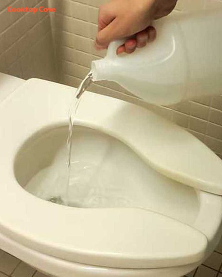 Man pours vinegar into toilet bowl & shows this brilliant tip