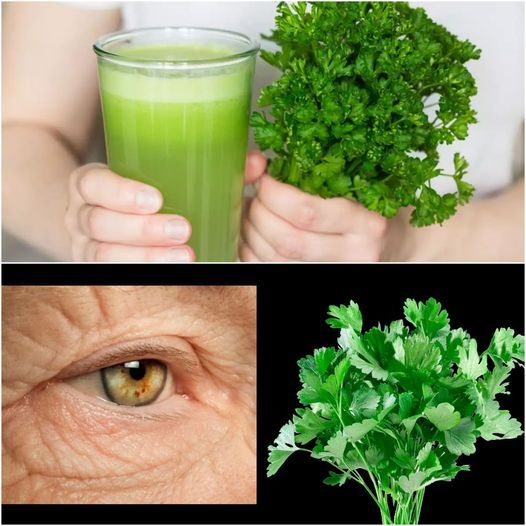 Rediscover the Power of Parsley for Age-Defying Vision