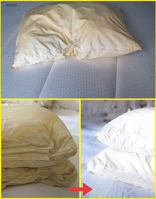 HomeHere’s how to clean dirty pillows from bed to leave them white and sweet scent… Here’s how to clean dirty pillows from bed to leave them white and sweet scent…